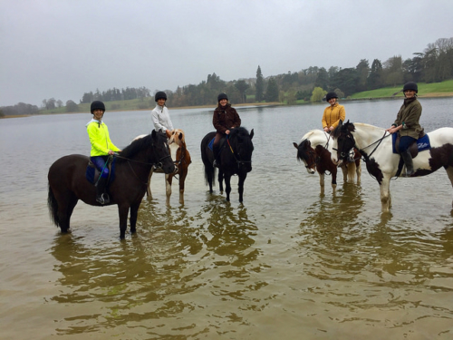 horse riding holiday, equestrian, castle leslie equestrian centre, riding in county monaghan, ireland