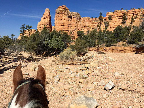 rubys horseback adventures, bryce canyon, red canyon, horseback riding, utah