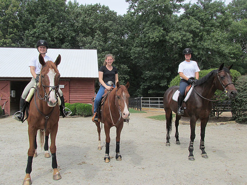 University South Carolina Equestrian Team Writing Horseback