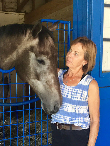 donna freyer, custom care equine, race horse, camden training center, south carolina