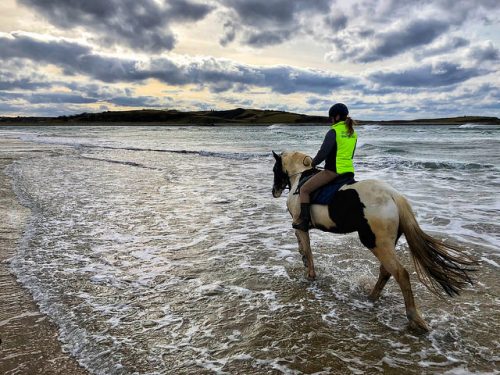 ursula schweiger, horse, island view riding stables, beach ride, county sligo, ireland