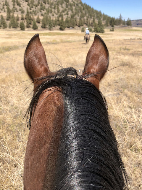smith rock trail rides in central oregon, horseback rides in central oregon, horseback ride smith rock, visit central oregon