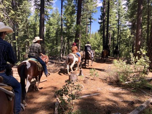 horseback riding with cowboys through Plumas National Forest at Greenhorn Ranch, Quincy, California