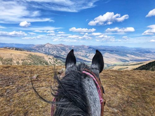 Looking out to Big Sky, Montana from Big Horn Peak near the northwest corner of Yellowstone National Park from between my horse, Essie's ears.