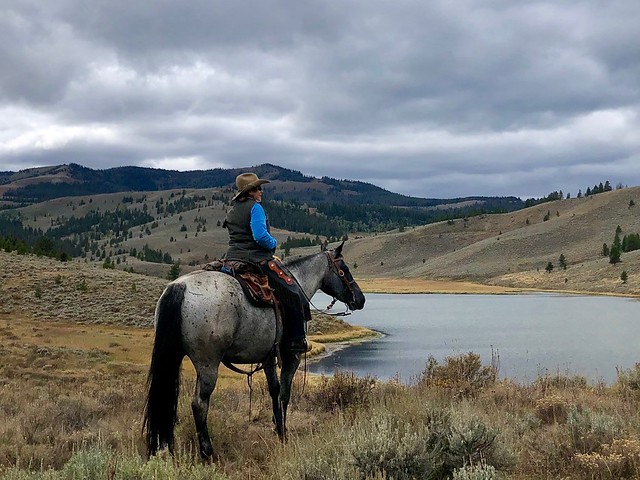 Equestrian travel expert Nancy D. Brown on her roan quarter horse, Essie, looking out to Meadow Lake in Gallatin National Forest, Montana