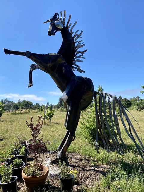 Rearing metal horse sculpture made of recycled parts, designed and created by Ranch Manager Zack Fiddler. 