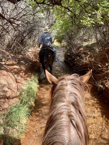 Riders cross Castle Creek several times while horseback riding in Moab, Utah. 