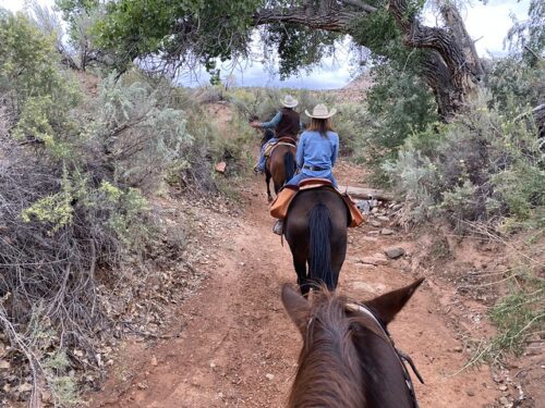 Three riders on horseback enter Canyons of the Ancients National Monument in Cortez, Colorado. An over-hanging tree and scrub brush surround the trail, composed of red clay. 