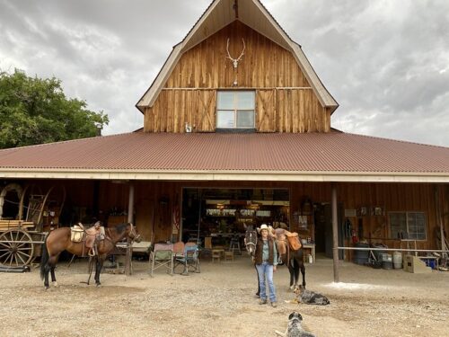 Kristie Carriker is surrounded by two horses and two ranch dogs in front of her wooden barn at Canyon Trails Ranch in Cortez, Colorado. Kristie is ready for Mesa Verde horseback riding adventure. 