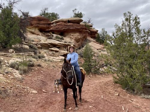Equestrian travel expert Nancy D. Brown  on a Mesa Verde horseback riding adventure in Canyons of the Ancients National Monument. Red rocks loom behind her and her horse in McElmo Canyon in southwestern Colorado. 