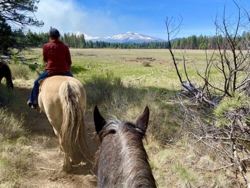 Horseback riding in Sisters, Oregon in the Deschutes National Forest. Glaze meadow is to the right of the two horses, with a wall of Ponderosa pine trees surrounding the grass-filled meadow. Mt. Washington is in the distance in Central Oregon. 