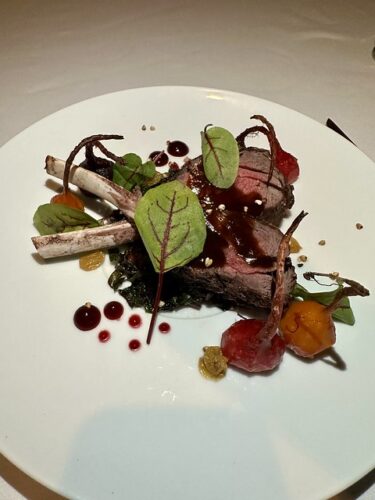 Two venison chops on a white plate with salad green and beets. 
