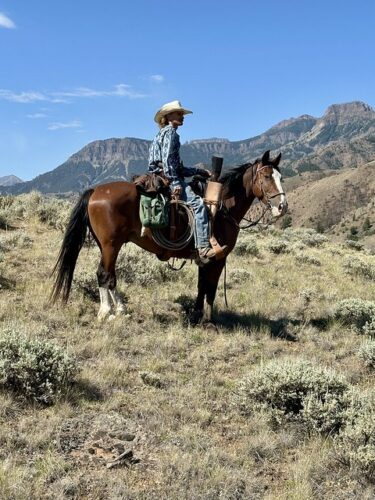 Cowboy with cowboy straw hat, wearing blue and black Western pattern shirt. He is sitting in a western saddle with a 22" rifle in a leather holder. He is wearing denim jeans, cowboy boots & spurs. His bay Mustang horse is wearing a western bridle and looking towards the camera, with his ears pointed forward. Cody, Wyoming rocky landscape behind horse in Washakie Wilderness.
