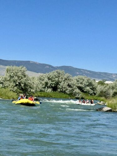 A large yellow white water rubber raft and white rubber raft where on the Shoshone River. Each raft held 7 passengers and a white water river guide. Class 2 rapids on blue water with brushy trees along the river. Forested Wyoming mountain range beyond river with boaters. 