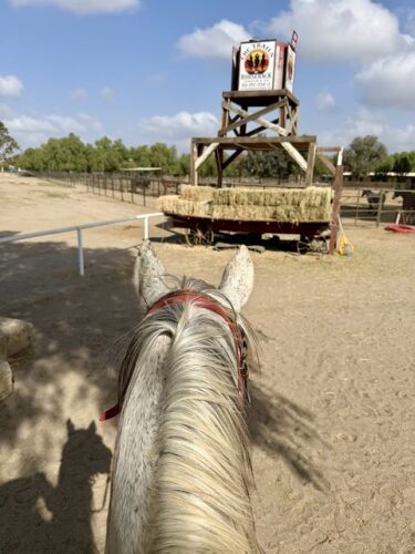 California Ranch Company CRCTrails Sign Horse CRC Trails by Horseback sign is situated above a wooden platform and several bales of hay. My horses head, with his silver mane, is looking at the sign. The horses ears are pricked forward.