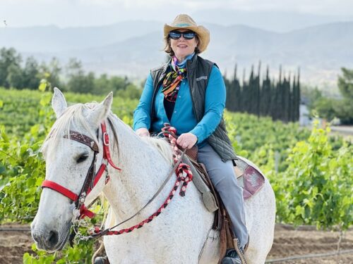 California Ranch Company Nancy DBrown CRCTrails Nancy D. Brown is wearing a blue shirt, olive colored best, blue jeans and a straw cowboy hat. She is seated in a Western saddle, riding a white horse with gray flecks of color. Her horse is wearing a leather and silver studded bridle with a red nylon halter and lead line attached to the saddle horn. Grape vineyards are behind while horseback riding in Temecula Valley, California.