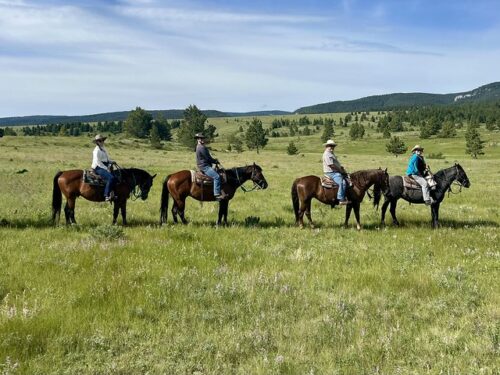 CircleBarBrownsHorseback640x480 Four riders on horseback in a meadow in Montana. Left to right, 28 year-old cowgirl, 31 year-old cowboy, 65 year-old cowboy and 65 year-old cowgirl riding in Western saddles. Pine trees and green grass make up the scenery, as well as a blue sky with white-streaked clouds at Circle Bar Ranch.