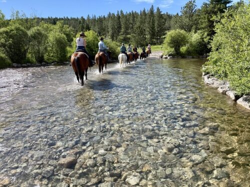 Seven riders on horseback cross a clear-flowing river in central Montana. The sky is blue and the river is flanked by pine trees in a national forest.